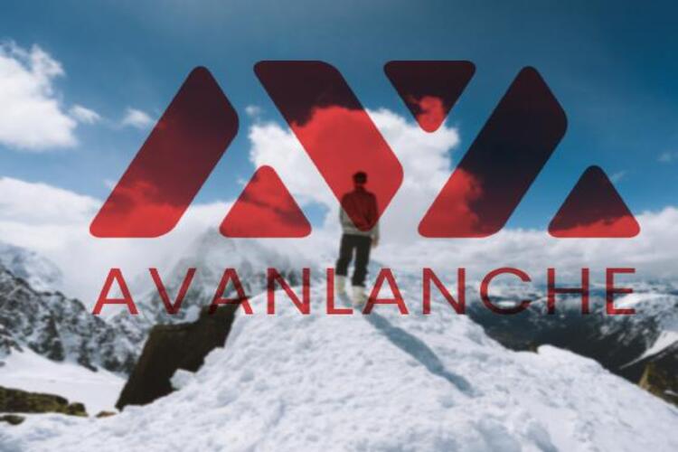 โปรโตคอลเราเตอร์ที่ได้รับการสนับสนุนจาก Alameda ประกาศการรวม Avalanche